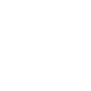CARPE OMNIA logo